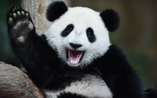 Panda's ProAvalon Stats Tracker :: Tracks and analyzes player statistics in ProAvalon games
