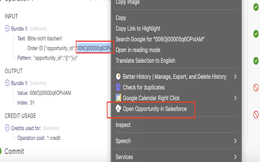 Salesforce Helper :: Navigate to Salesforce objects by ID