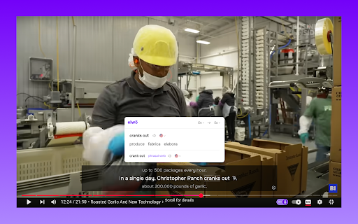 Smart Translator for Web & YouTube Subtitles — Elwo :: Accurate AI Translator for YouTube subtitles & websites. Detects expressions, TTS with regional accents, dictionary & history