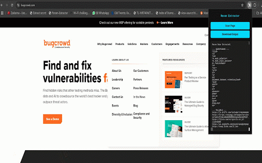 Recon Buddy :: Extract recon data like JWTs, API keys, parameters, and endpoints from visited pages.