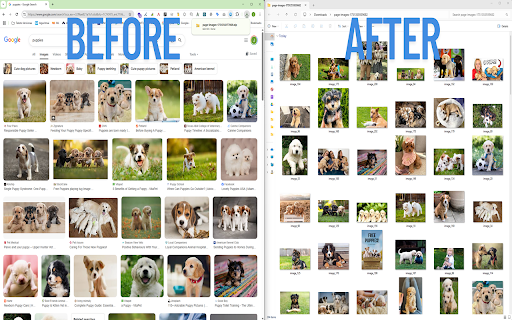 BULK Image ZIP Downloader :: One‑click: download every image on the page as a ZIP to your computer in one click.