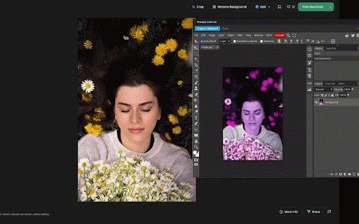 Photopea Quick Edit :: Right-click an image or grab a screenshot area and edit it instantly in Photopea.