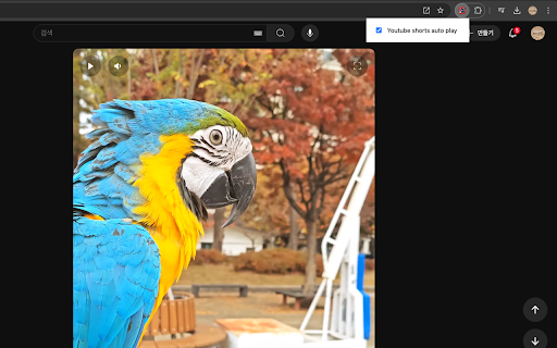 AutoShorts :: Automatically plays next YouTube Shorts videos for seamless viewing experience