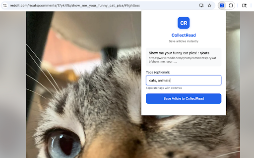 CollectRead - Save Articles Instantly :: Save articles to your CollectRead library with one click. The modern alternative to Pocket.