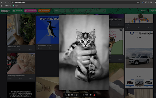 MediaPiper :: Hover any image to preview full-size. Discovers high-res media patterns automatically on any site.
