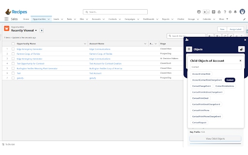 Salesforce Dev Inspector :: Salesforce Inspector boosts productivity with quick access to data and metadata in Salesforce.