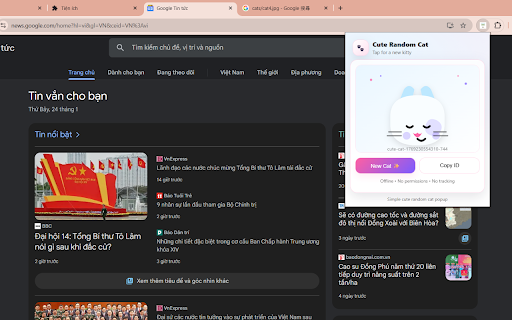Cute Random Cat :: Shows a random cute cat image in the popup (offline).
