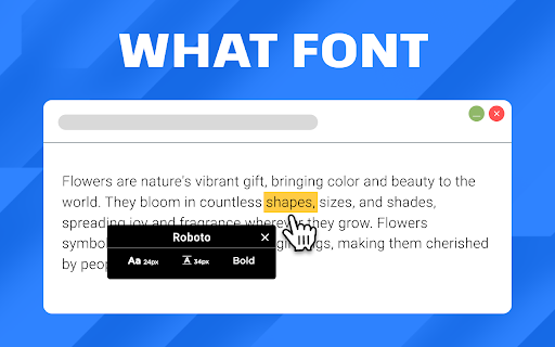 What Font :: Discover What Font to identify typography effortlessly! Quickly answer, "what font is this?" and find font that sparks creativity.