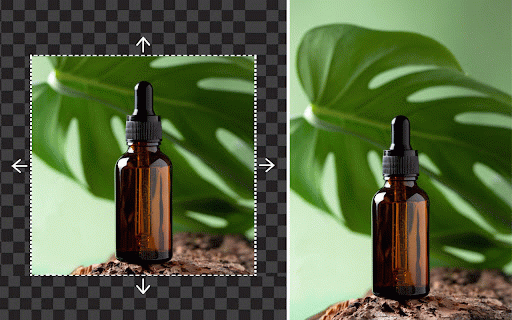 AI Image Extender :: Enlarge your images and seamlessly uncrop image areas with AI Image Extender, scaling your visuals without losing quality