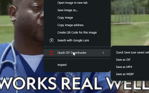 Quick GIF Downloader :: Download on-page GIFs or convert to MP4/WEBP via FFmpeg.wasm.