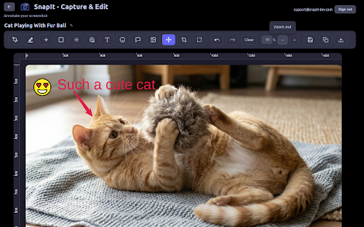 SnapIt - Capture & Edit :: Take screenshots of your browser pages with one click