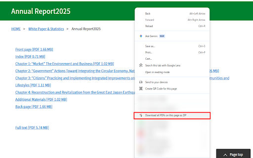 PDF Bulk Downloader – Save All PDFs as ZIP :: Find all PDF links on the current page and download them together as a ZIP file.