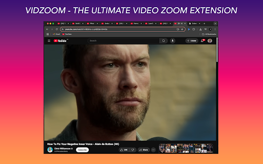 VidZoom - Ultimate Free Video Zoom :: Professional cursor-centered video zoom (Ctrl+Scroll, H to reset)