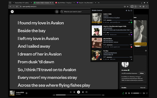 Media Control :: View and control all media that is playing in your browser.