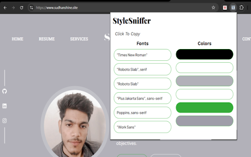 StyleSniffer :: A Chrome extension to extract font families and colors used in the current website.