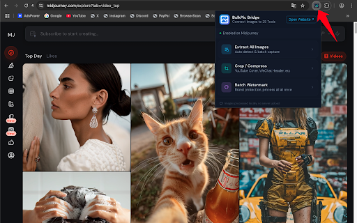 BulkPicBridge :: Send any web image to BulkPicTools in one hover-click. Works on Midjourney, Doubao, Unsplash, Google Drive & more.