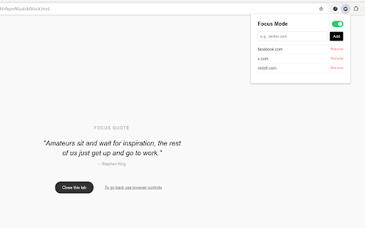 Distraction Blocker Lite :: A minimalist, calm tool to block distracting websites and reclaim your focus.