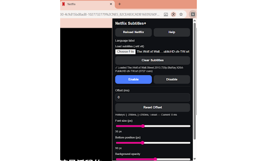 Netflix Subtitles :: Overlay external subtitles on Netflix with auto-sync, SPA navigation support, and friendly UX.
