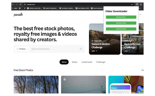 Video Downloader :: Downloads videos from any website.