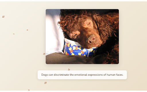 New Dog Tab :: Displays a random dog image and fact on each new tab!