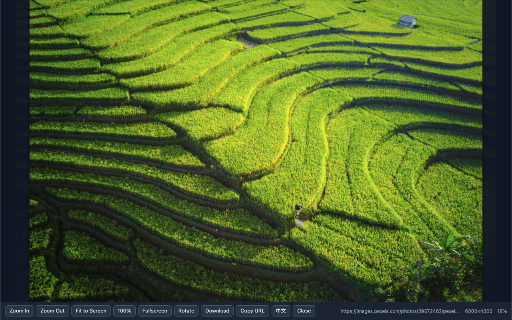 Open Image Viewer :: Right-click any image to open a zoomable, pannable viewer with fullscreen, rotate, download, and copy-URL.