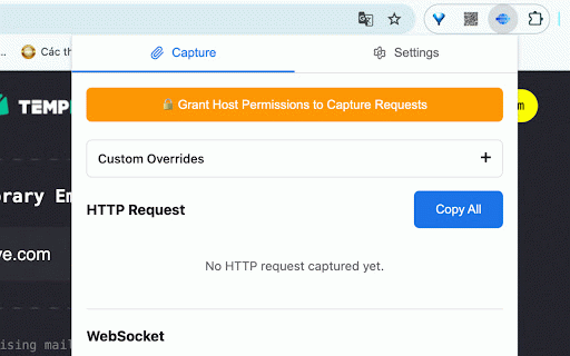 cURL & WS Capture :: cURL & WS Capture help Capture network requests and WebSocket connections.