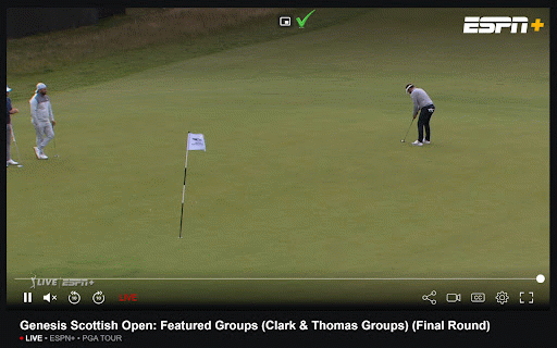 Let Me Multitask, Bro :: A Chrome extension that allows picture-in-picture mode to be used for videos, even if the website has disabled it.