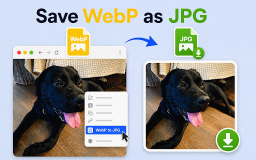 Change WebP To JPG :: Easily change webp to jpg — convert webp to jpg files instantly in your browser, no uploads, no online converter.