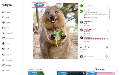 Insget.Net | Instagram Downloader :: Quickly download Photos, Videos, Reels, Stories and Profile from Instagram.
