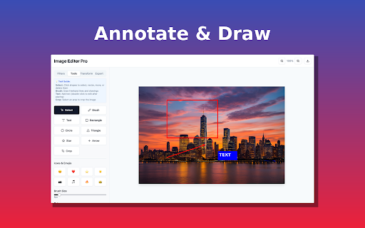 Image Editor Pro :: A beautiful and powerful image editor for Chrome with advanced editing capabilities including filters, cropping, and more