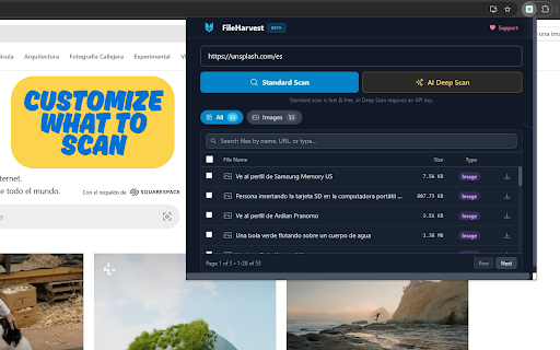 FileHarvest - Descargador Masivo de Archivos :: Descarga archivos en masa desde cualquier página. Escaneo con IA, filtros avanzados. Gratis, sin publicidad ni rastreo.