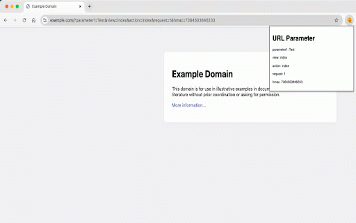 URL parameter display :: Displays the URL parameters of the current page