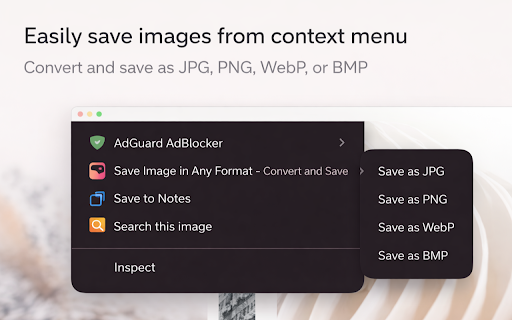 Save Image in Any Format - Convert and Save :: Convert and save images as JPG, PNG, WebP, BMP, and AVIF (when supported), with quality and hover-dimension controls.