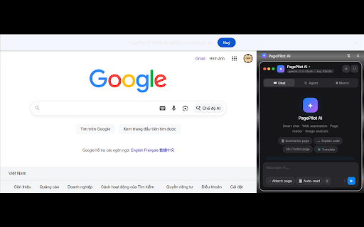 PagePilot AI :: AI agent that fills forms, clicks, scrolls and automates tasks on any website using your free Gemini API key.
