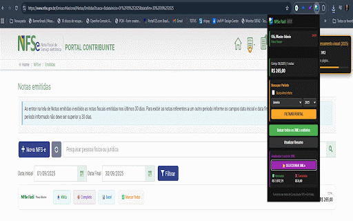 GerirMEI - NFSe Fácil :: Facilita o download de XMLs em lote e resume o faturamento no Portal Nacional da NFS-e.