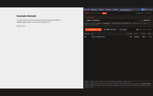 Vector Interceptor :: Capture browser traffic and send it to your Dravian target for AI-assisted security analysis.