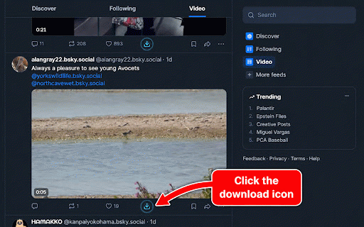 Bluesky Media Downloader :: Download Bluesky videos, GIFs, and images in one click, straight from your feed. Free, no watermark, no sign-up.