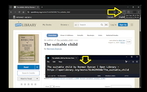 Title Link Copier :: Quickly copy the page title and URL in one click, formatted as 'Title - URL'