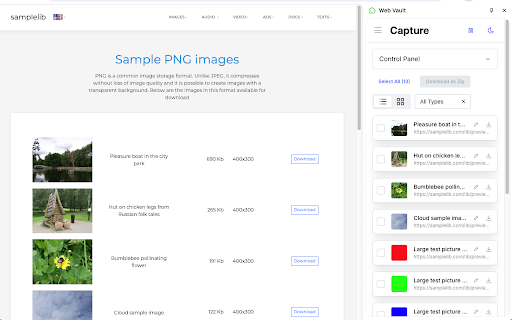 Web Vault :: Save and organize media, web pages, and text snippets.