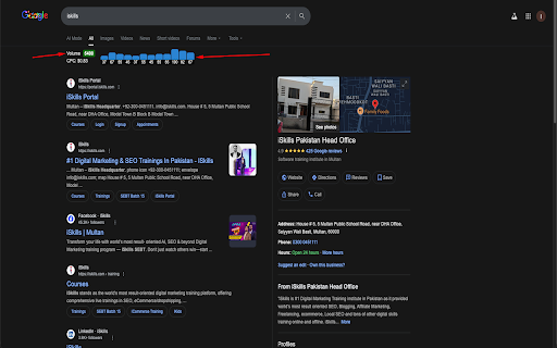 iSkills Niche Research Tool :: Displays keyword data from iSkills API under Google search bar