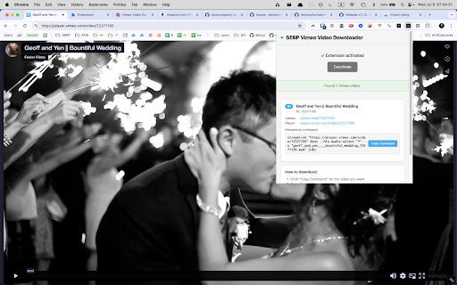 Vimeo Video Downloader :: Download Vimeo videos directly to your computer