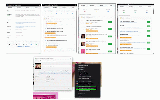 Developer Tool in One: SEO, Ruler & Text Checker And More :: All-in-one web developer toolkit. Inspect SEO, audit colors, measure with a page ruler, check text, and capture screenshots.