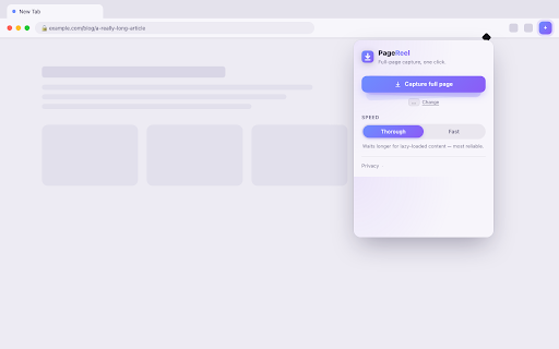PageReel — Full Page Screenshot :: Capture an entire scrolling webpage as one clean image. One click, no login, sticky headers handled automatically.