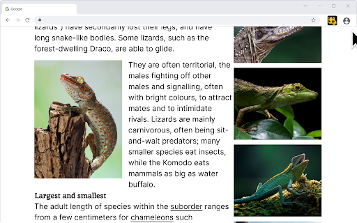 QuickCapture - Snipping Tool & Screenshot (Full Page, Visible, Selection) :: Take full page, scrolling, visible, or selection screenshots fast. Edit, crop, and manage captures in one snipping tool.
