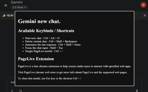 PageLive :: Screen Reader companion for Gemini AI
