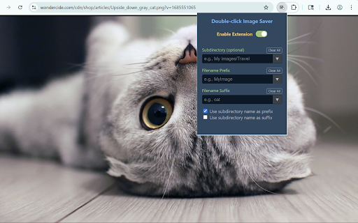 Double Right-click Image Saver :: Double right-click on any image to save it with your custom naming rules.