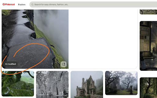 Hide Pinterest AI Note :: Hides "AI modified" label on Pinterest pin pages.