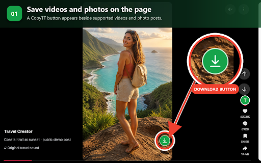 CopyTT – Video & Photo Downloader :: Download videos and photos you choose from supported pages with a button beside the media.