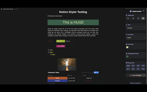 Notion Styler :: Enhance Notion with a powerful styling sidebar. Apply colors, fonts, alignment, and resize images with ease.