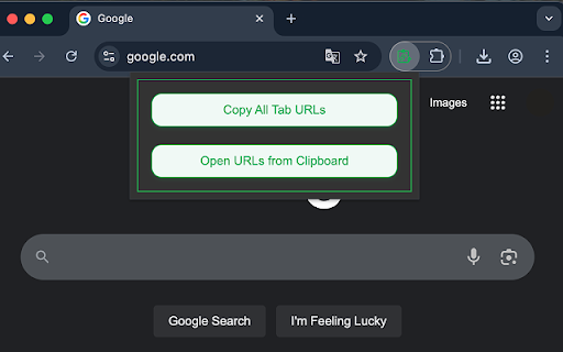 Copy Paste URLs :: Copy URLs from open tabs to clipboard or open multiple URLs from clipboard in new tabs.